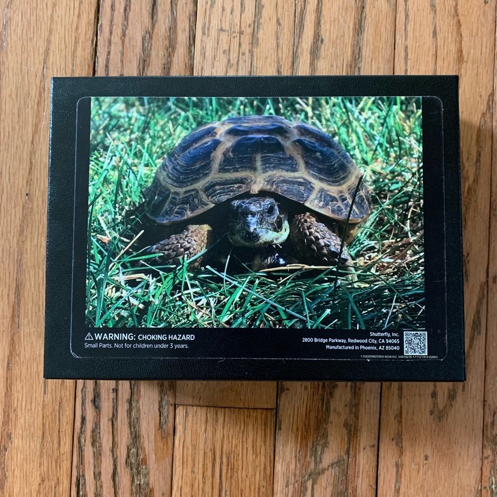 252 piece Jigsaw Puzzle - Tortoise * EUC *